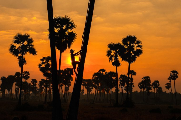056 Cambodja, Siem Reap.jpg